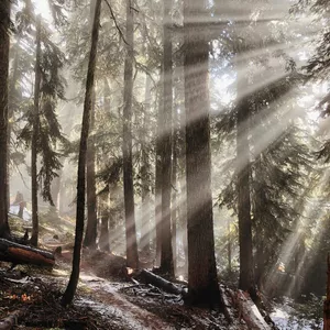 Imagem do curso Curso 20 Promessas não pôde faltar em minha vida