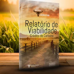 Imagem de capa para o Curso online Relatório de Viabilidade