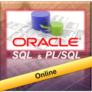 Imagem do curso Curso SQL e PL/SQL Oracle
