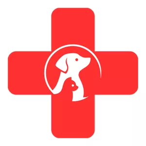 Imagem de capa para o Curso online Princípios do Atendimento Emergencial em Cães e Gatos