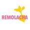 Remolacha Cursos
