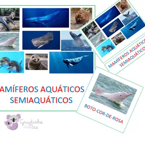 Imagem de capa para o Curso online Cartões Montessori - Mamíferos Aquáticos e Semiaquáticos - Letra imprensa, caixa alta, colorida