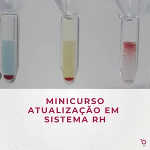 Imagem de capa para o Curso online Atualização em Sistema Rh