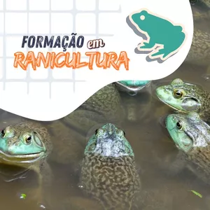 Imagem de capa para o Curso online Formação em Ranicultura