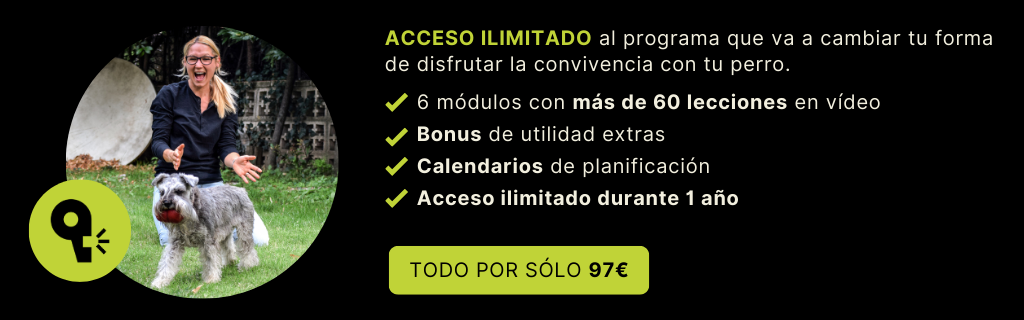 Una Llamada Perfecta