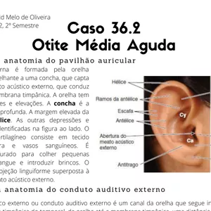 Imagem de capa para o Ebook Caso Clínico 36.2 Otite Média Aguda