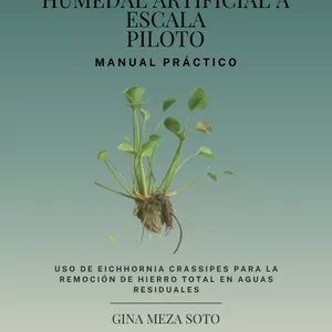 Imagen de portada para Ebook Manual práctico: Cómo diseñar y construir un humedal artificial a escala piloto