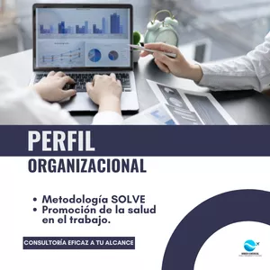 Imagen de portada para Curso online PERFIL ORGANIZACIONAL 