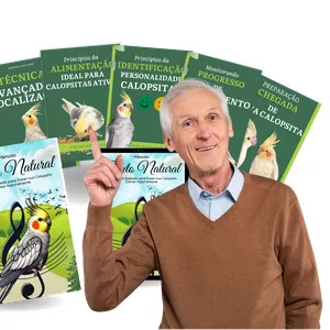 Imagem de capa para o Curso online Método Canto Natural