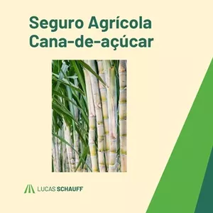 Imagem do curso Capacitação em Seguro Agrícola Cana-de-Açúcar