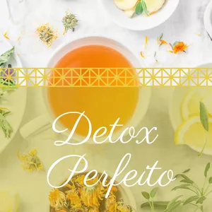 Imagem de capa para o Ebook Detox perfeito 