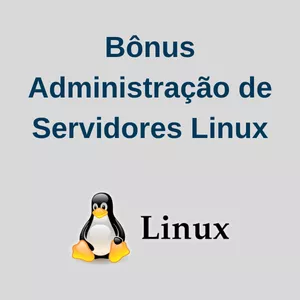 Imagem de capa para o Curso online Bônus - Administração de Servidores Linux
