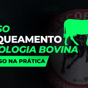 Imagem de capa para o Curso online CPB-CASQUEAMENTO E PODOLOGIA BOVINA