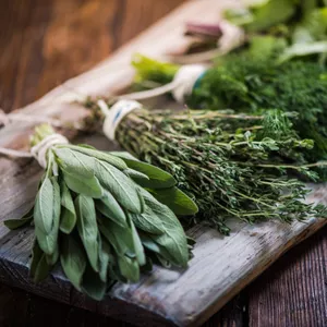 Imagem de capa para o Ebook Apostila Usando Ervas Aromáticas na Culinária