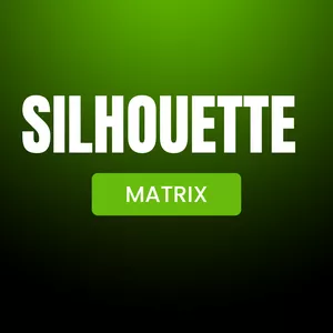 Cover image for Online course Silhouette Matrix