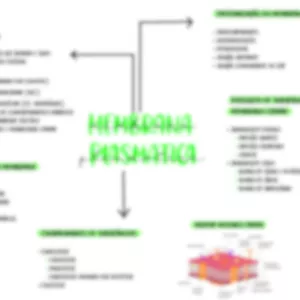 Imagem de capa para o Ebook Mapa mental - Membrana Plasmática 