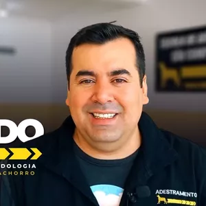 Imagem de capa para o Curso online Método Cão Companheiro