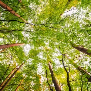 Imagen de portada para Curso online Comunidad creSER con Enrique Canela