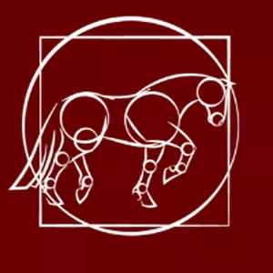 Imagem de capa para o Curso online Mestres da Anatomia