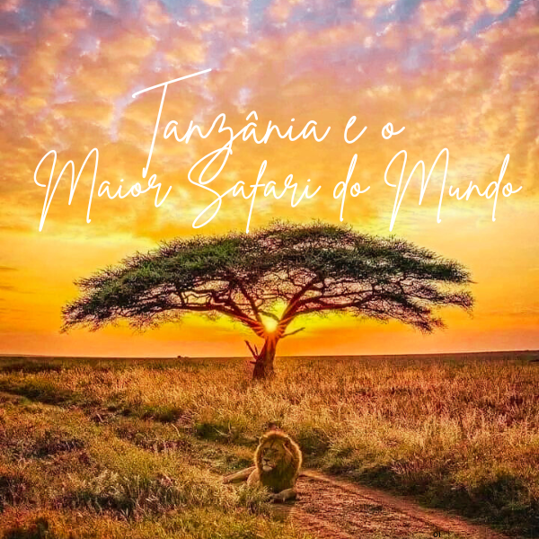 Imagem de Roteiro - Tanzânia e o  Maior Safari do Mundo criado por Alynne na hotmart