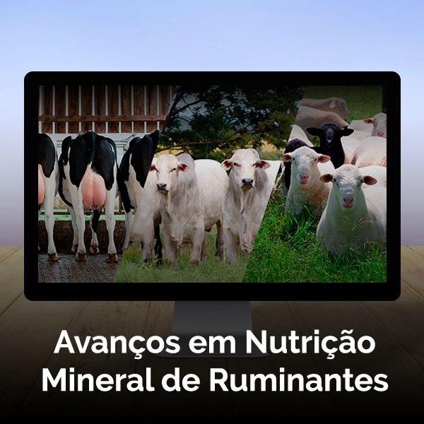 Imagem de Curso Online Avanços em Nutrição Mineral de Ruminantes criado por Klick Media na hotmart