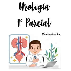Imagen de portada para Ebook Resumo de Urología