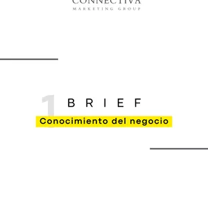 Imagen de portada para Ebook Brief: Conocimiento del negocio