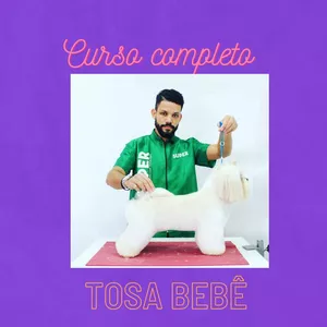 Imagem do curso Curso de especialização de tosa com tesouras em cães de pelagem lisa