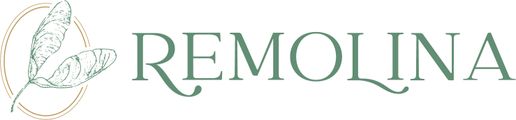 Remolina Support Programs logo