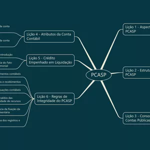 Imagem de capa para o Curso online Curso PCASP