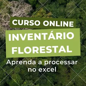 Imagem do curso Curso Aprenda Processar Inventário Florestal Utilizando o Excel +1 PLANILHA BÔNUS CONTENDO TODAS AS FÓRMULAS