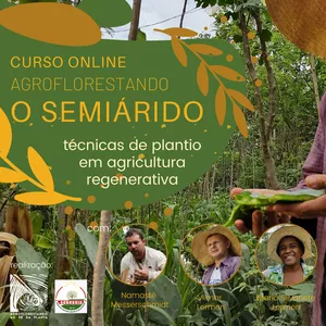 Curso Online Agroflorestando o Semiárido