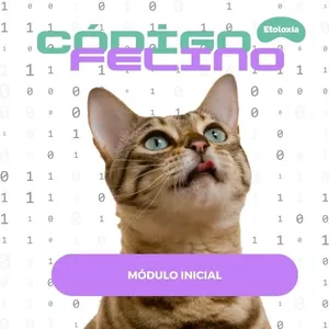 Imagen de portada para Curso online Programa Código Felino de Etoloxía.