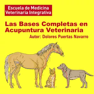 Imagen de portada para Curso online Curso de Acupuntura Veterinaria Internacional 1: Las bases de la Acupuntura Veterinaria - (Versión en ESPAÑOL)