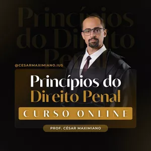 Imagem de capa para o Curso online Princípios do Direito Penal