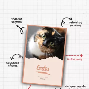 Imagem de capa para o Ebook Manual básico sobre gatos!
