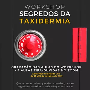 Imagem de capa para o Curso online Workshop Segredos da Taxidermia