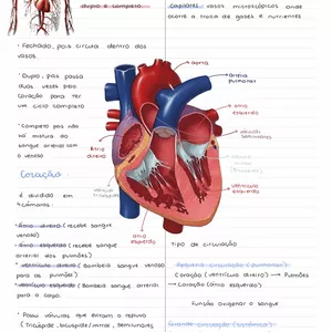 Imagem do curso ✨️RESUMOS INESQUECÍVEIS 