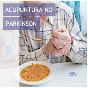 Imagem principal do produto Guia Prático de Acupuntura no Parkinson