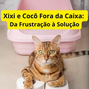 Xixi e Coco Fora da Caixa: Da Frustração à Solução