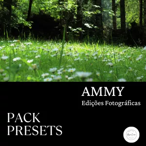 Imagem do curso Pack Presets Ammy Edições Fotográficas 