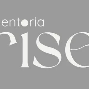 Imagem de capa para o Curso online Mentoria Rise