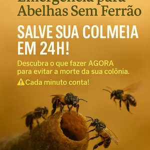 Imagem de capa para o Ebook Manual de Emergência para Abelhas sem ferrão