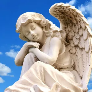 Imagen de portada para Curso online Espíritu Iluminador