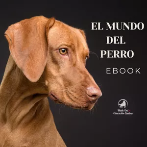 Imagen de portada para Ebook El Mundo del Perro