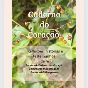 Imagem de capa para o Ebook Caderno  do Coracão 
