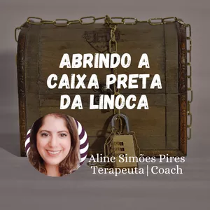 Imagem de capa para o Curso online Caixa preta da Linoca