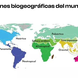 Imagen de portada para Ebook Planisferio