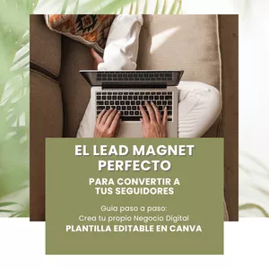 Imagen de portada para Ebook El Lead Magnet PERFECTO para tu audiencia