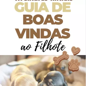 Imagem de capa para o Ebook Aventuras Inicias: Guia de Boas-Vindas aos Filhotes